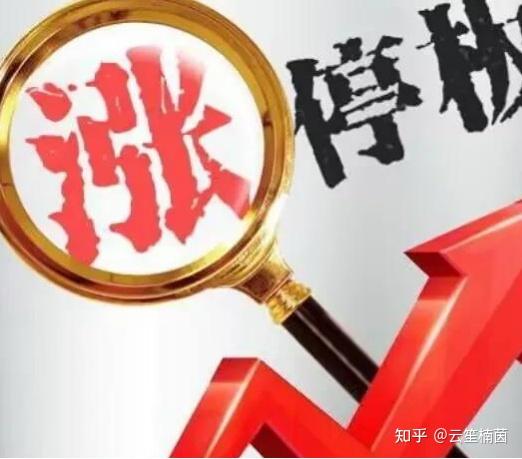 SEC冲破333美元大关，牛市是否已来临？
